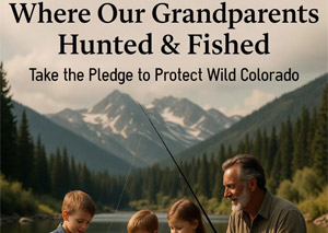 Protect the Traditions graphic